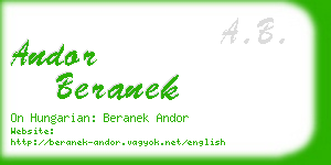 andor beranek business card